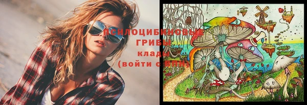 бошки Майский