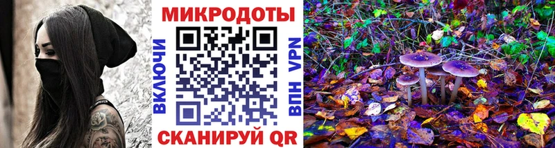Псилоцибиновые грибы Cubensis  Янаул 